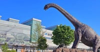 [新旅.jp] 【2025年最新】現地スタッフ厳選！福井県のおすすめ観光スポット21選
