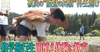 [新旅.jp] 【動画】被災の“能登の民宿”再生進む　石川・能登町の農家民宿群に今季初の修学旅行生　田植え体験に歓声