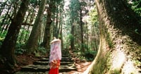 [新旅.jp] 【2025年最新】和歌山県のおすすめ観光スポット32選！定番から穴場まで