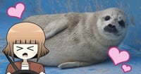 [新旅.jp] 500円のチケットで、水族館と科学館の両方入れる！？お得感満載の超穴場スポット！