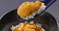 [新旅.jp] ウニ漁解禁！この時期だけの贅沢を「休暇村 陸中宮古」の“三陸ウニざんまい会席”で