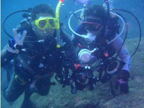 【福井・音海】船で、冠島へ。冠島での体験ダイビング＆スノーケリング。