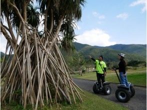 【鹿児島・奄美】絶景に出会える！セグウェイマングローブ散策ツアー