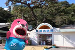 高知 桂浜水族館 入館Eチケット