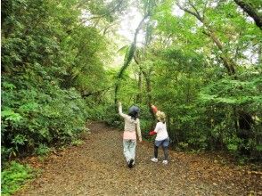 【鹿児島・奄美大島・1日プラン】金作原原生林散策＆マングローブカヌーツーリング・鶏飯ランチ込み