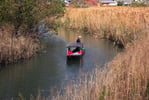 【シガリズム体験】近江八幡 水郷のさと まるやま 水郷めぐり手漕ぎの乗合船60分コース