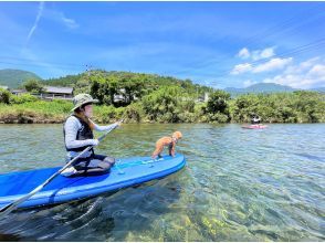 【徳島・牟岐】早朝SUP（スタンドアップパドル）体験！ペットOK！ゆったり体験したい人に！