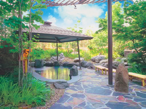 愛知 長久手温泉ござらっせ Eチケット