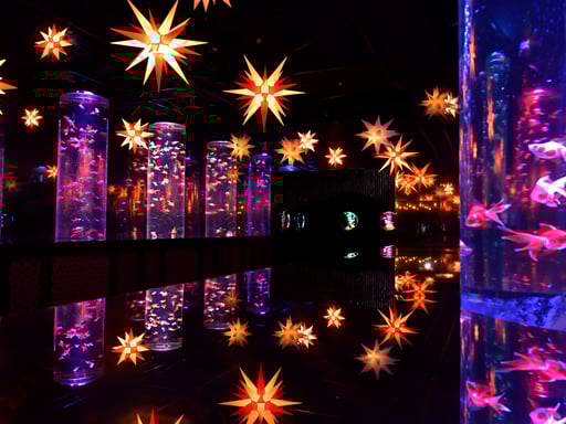 東京 アートアクアリウム 美術館 GINZA チケット 予約