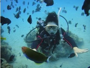【鹿児島・奄美大島南部】大島海峡、加計呂麻島サンゴ礁体験ダイブ＆シュノーケル,ヨットクルーズ。1日コース