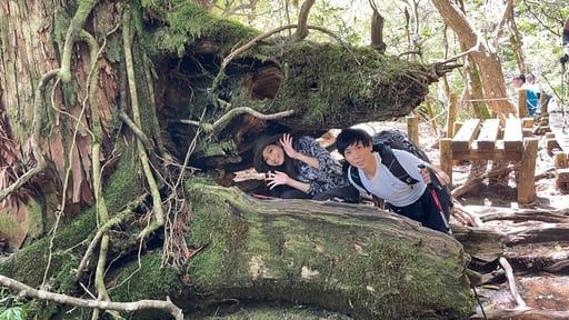 屋久島 トレッキングガイドこだまの縄文杉トレッキングツアー＜見所満載！＞