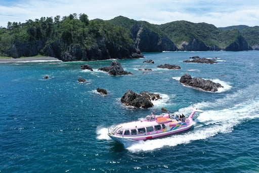 山口 青海島 観光遊覧船乗船 Eチケット 予約＜ふぐ刺しセットプランあり＞