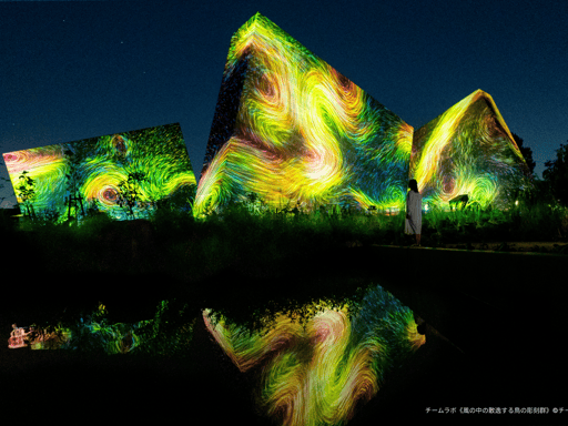 チームラボ ボタニカルガーデン 大阪 長居公園 Eチケット