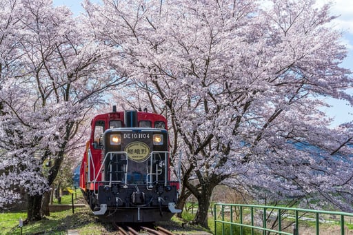 京都 嵯峨野トロッコ列車 片道乗車券