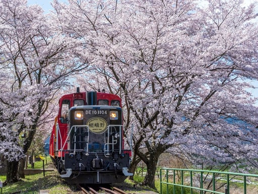 京都 嵯峨野トロッコ列車 片道乗車券