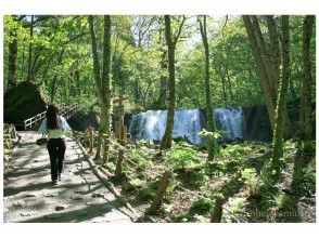 【青森・十和田】新緑の奥入瀬渓流トレッキング【十和田湖国立公園】ゆっくりご案内4時間コース