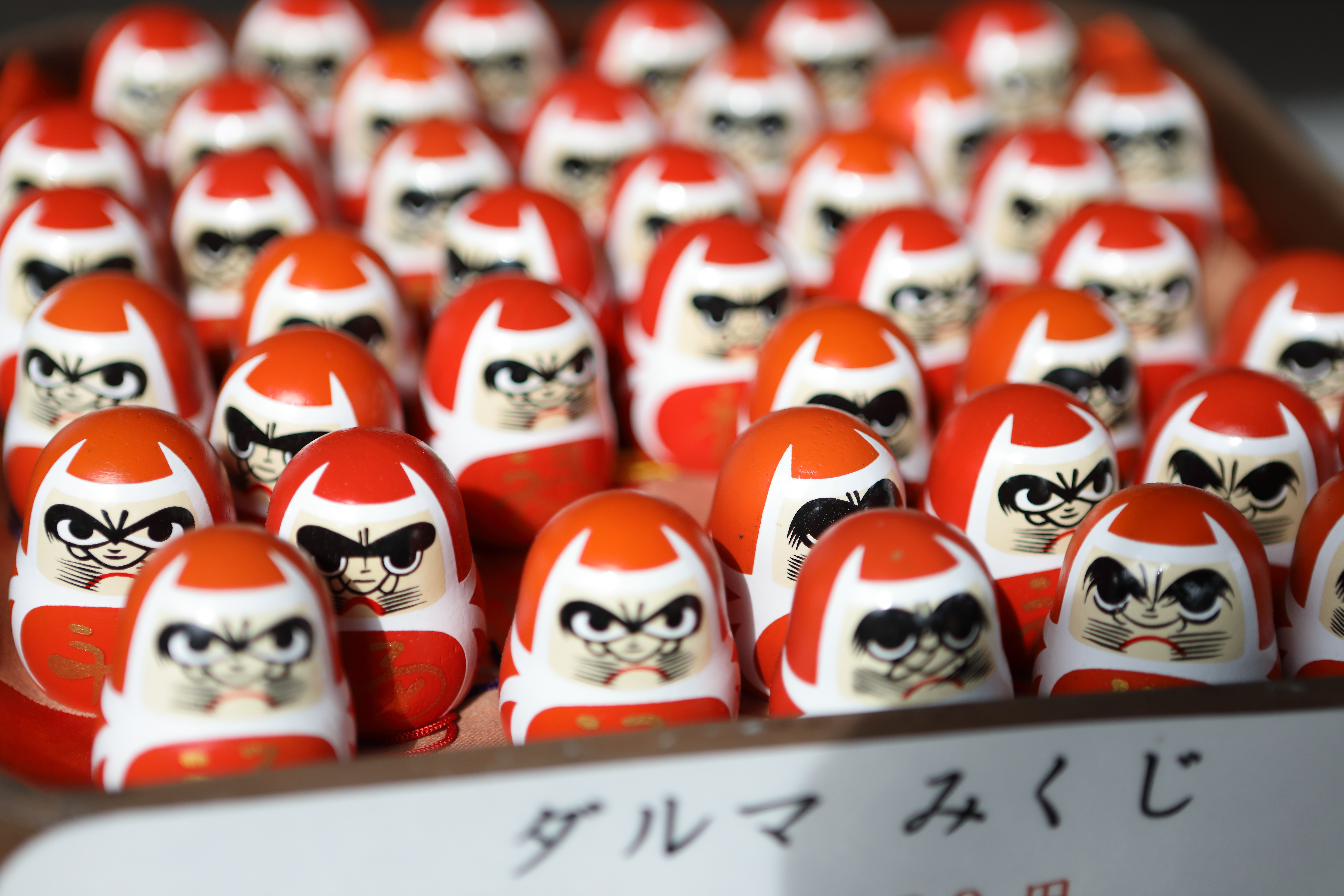 奈良 吉野 櫻本坊で修行体験＋お抹茶＋お菓子＜世界文化遺産 吉野大峯＞