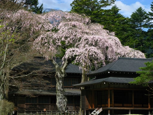 栃木 日光田母沢御用邸記念公園 入園チケット