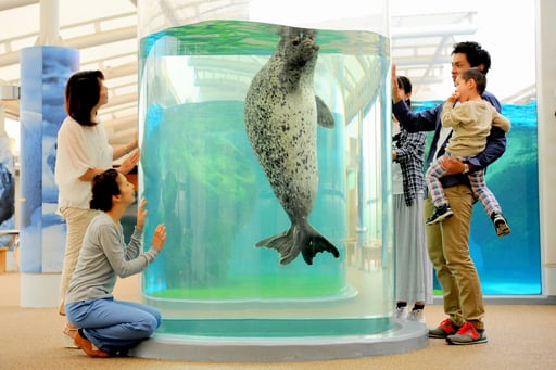 京都水族館 入場券