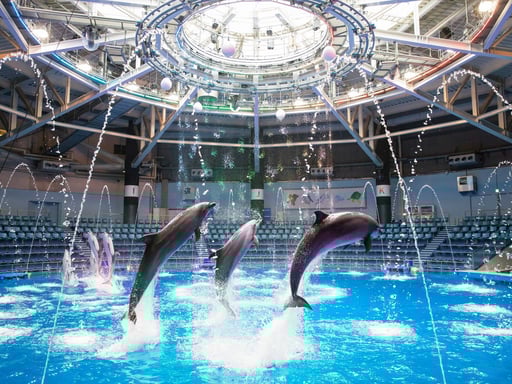 マクセル アクアパーク品川入場券