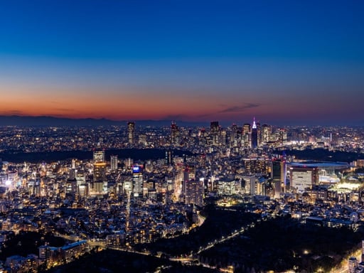 東京シティビュー入場チケット