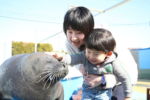 愛知 南知多ビーチランド＆南知多おもちゃ王国 入園Eチケット