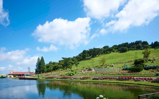 六甲山アスレチックパークGREENIA 入場券