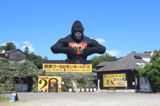 【最大30円割引】栃木 那須ワールドモンキーパーク 入園チケット 予約