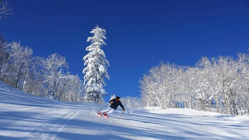 北海道 富良野スキー場 オンシーズン リフト利用 1日券＜場内利用セット券付きプランも選択可＞【小学生までリフト料金無料！／利用期間 12/7～3/23】[即日発券]