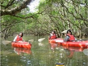 【鹿児島・奄美大島】マングローブカヌー　三密防止の為随時スタート（9:00~16:00）