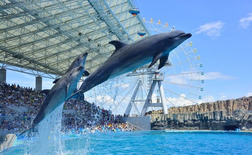 愛知 名古屋港水族館 入館Eチケット