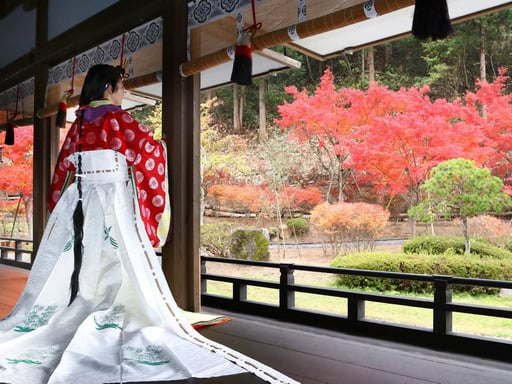 岩手 歴史公園えさし藤原の郷 入場Eチケット(引換券)<平安時代にタイムトリップ>