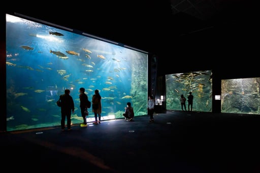 【最大200円引き】サケのふるさと 千歳水族館 入館Eチケット