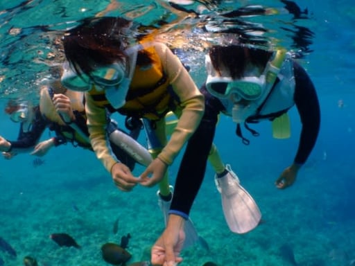 【青の洞窟❤️シュノーケル】gopro写真動画その場でスマホに無料転送♪<GoPro写真・動画/餌あげ/タオル・サンダルレンタル>武藤潜水沖縄