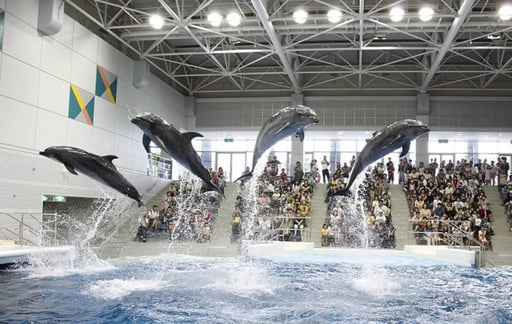 鹿児島 いおワールドかごしま水族館 入館Eチケット＜180日以内有効＞