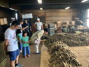 【鹿児島・指宿】かつお節製造工程見学ツアー！お子様の自由研究の題材にもぴったり！