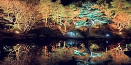 記事イメージ1