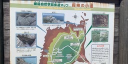 記事イメージ10