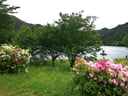 赤松の池のイメージ画像