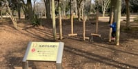 洞峰公園