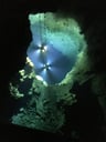 龍泉洞のイメージ画像