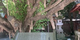 記事イメージ13