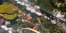 記事イメージ10