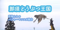 [新旅.jp] 動物たちのパフォーマンスが魅力｜那須どうぶつ王国