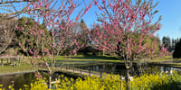 古賀総合公園